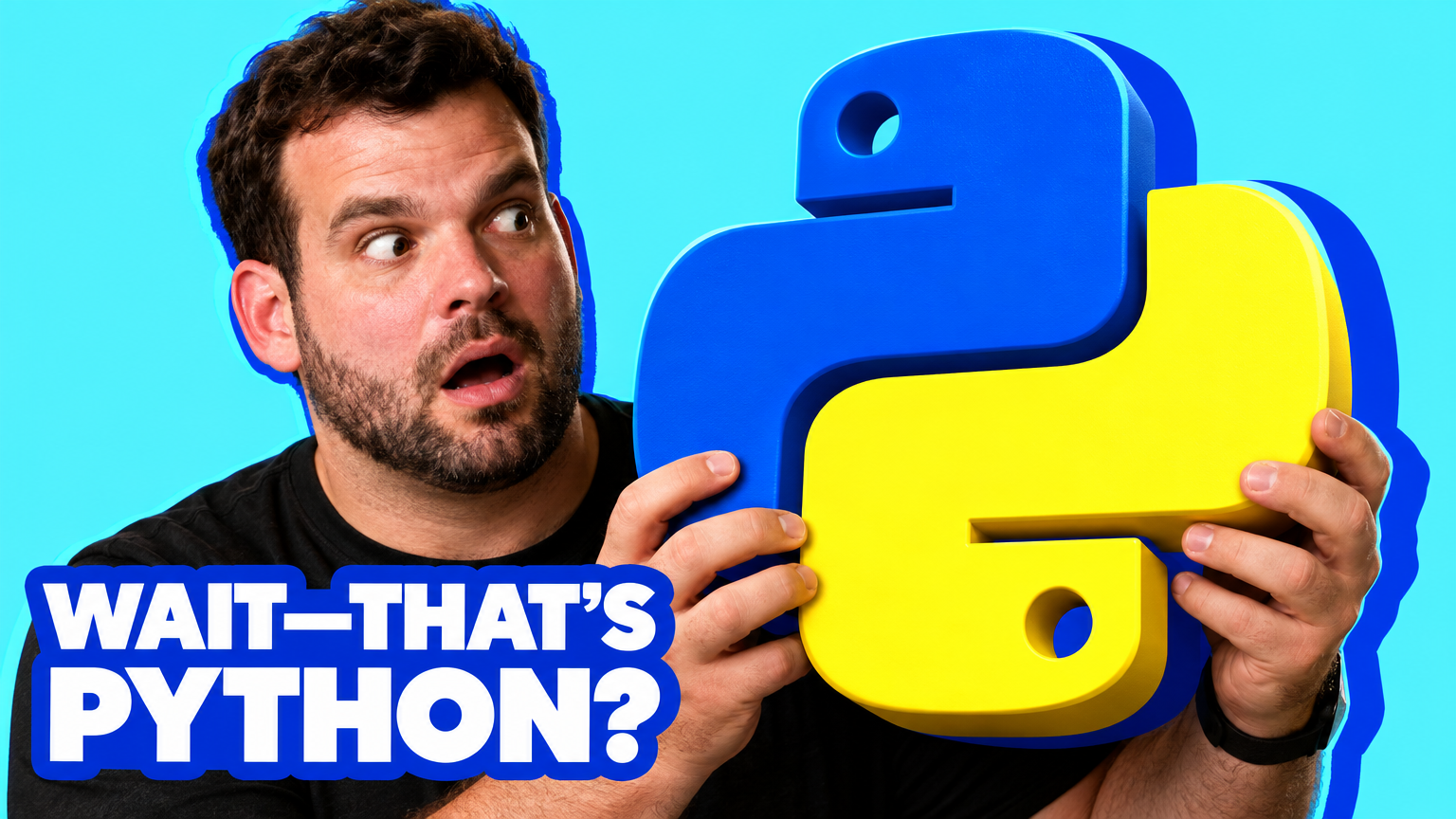 Python Crash Course course thumbnail